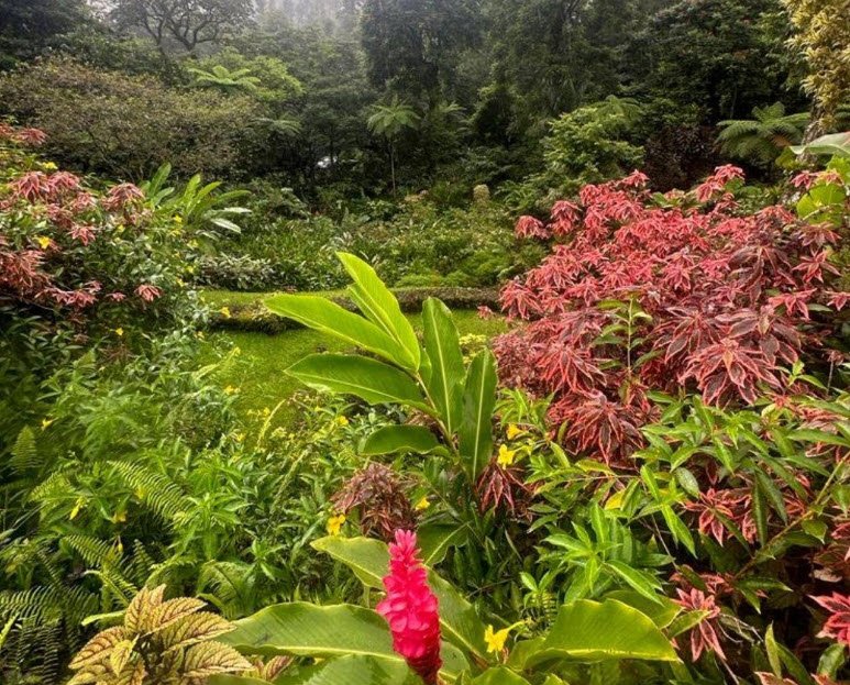 Montreal Gardens, Saint Vincent (Interior), St. Vincent & Grenadines